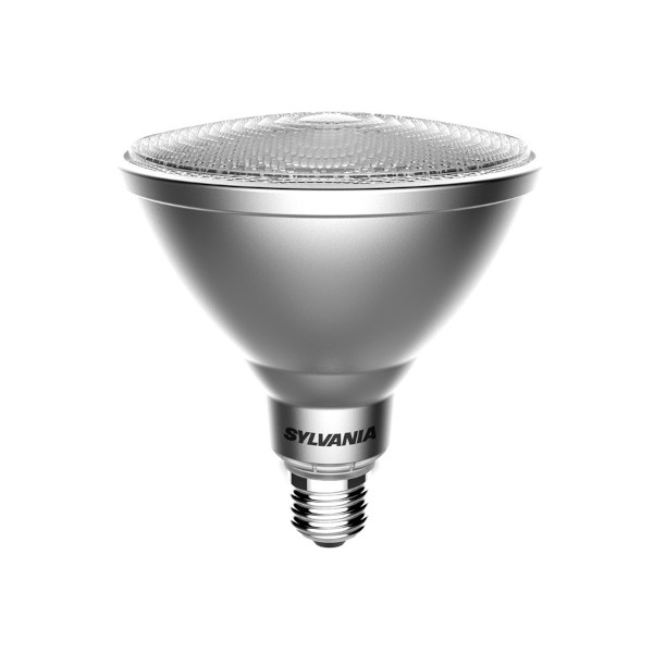 Retro light bulb PAR38 IP65 Dimmable