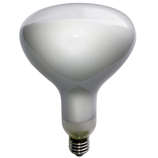 R125 FILOLED Dimmable bulb