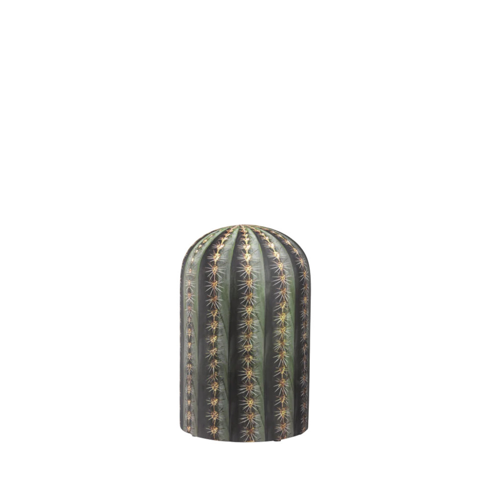 Cactus Pouf