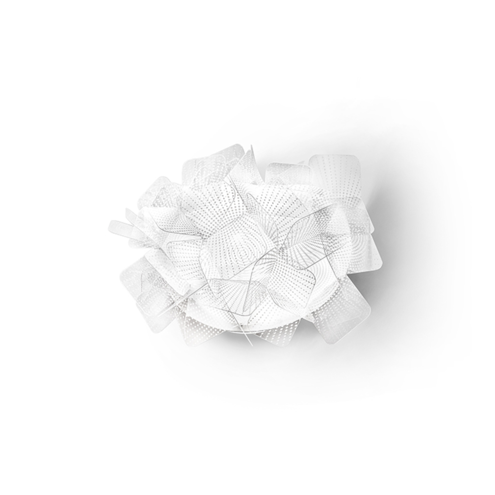 Clizia Applique