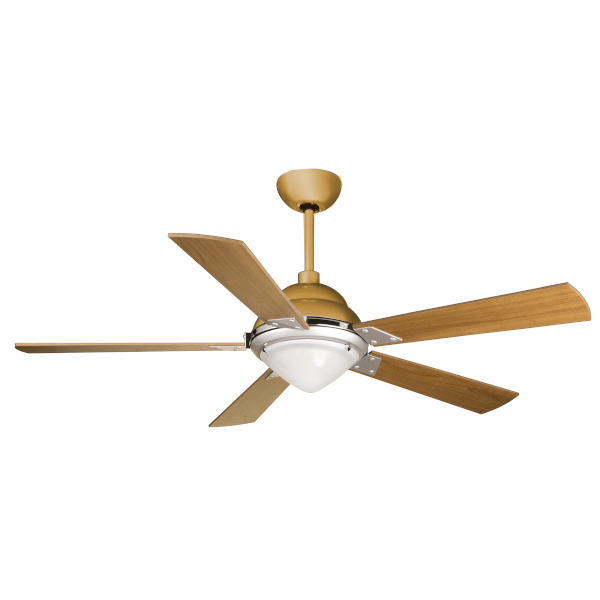 Maestrale R7s bronze fan