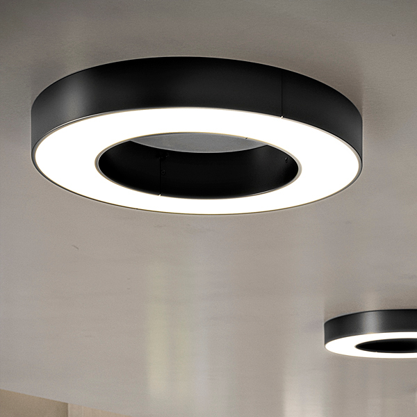 Silver Ring Ceiling / Wall_50