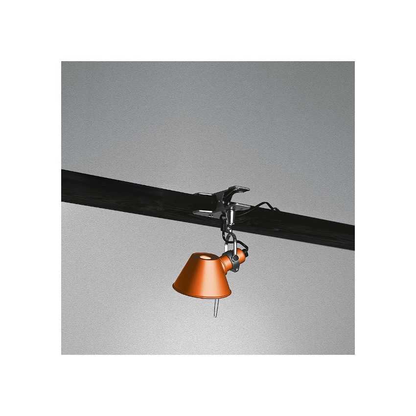 Tolomeo shop micro pinza