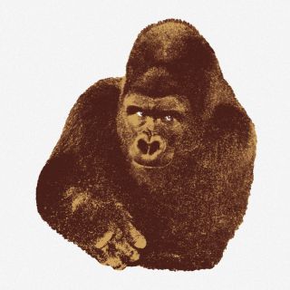 quindici il gorilla-stampa-danese-milano
