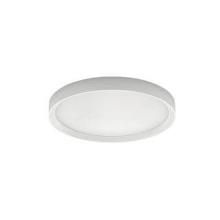 Tara R Grande Bianco