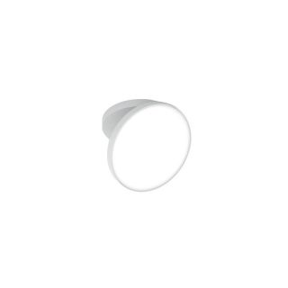 venere - parete - soffitto - rotaliana