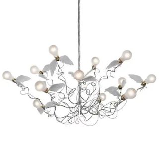 Birdie LED Cavo trasparente