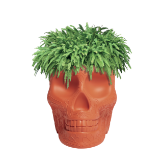 Mexico - Vaso Terracotta