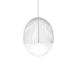 riketta-sospensione-vistosi