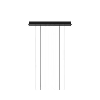 Rosone - Short Lights Track Nero