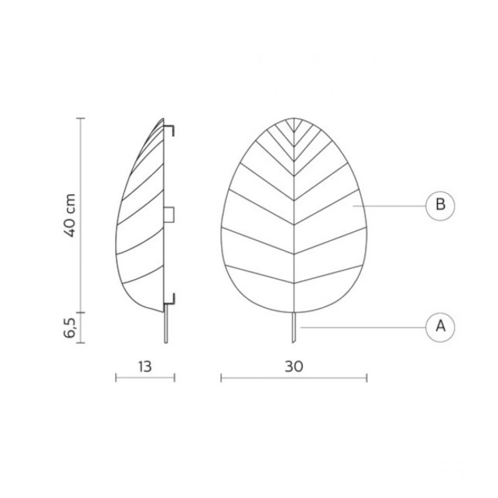 schema