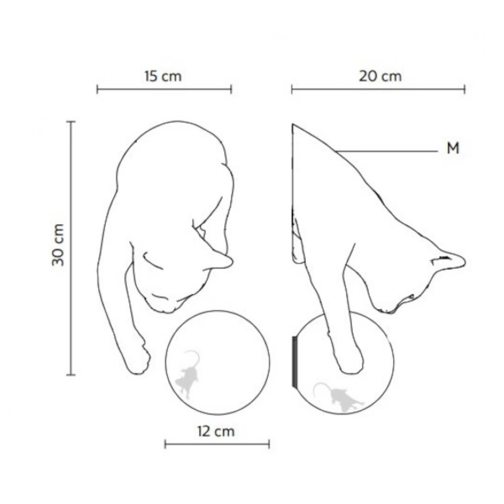 schema