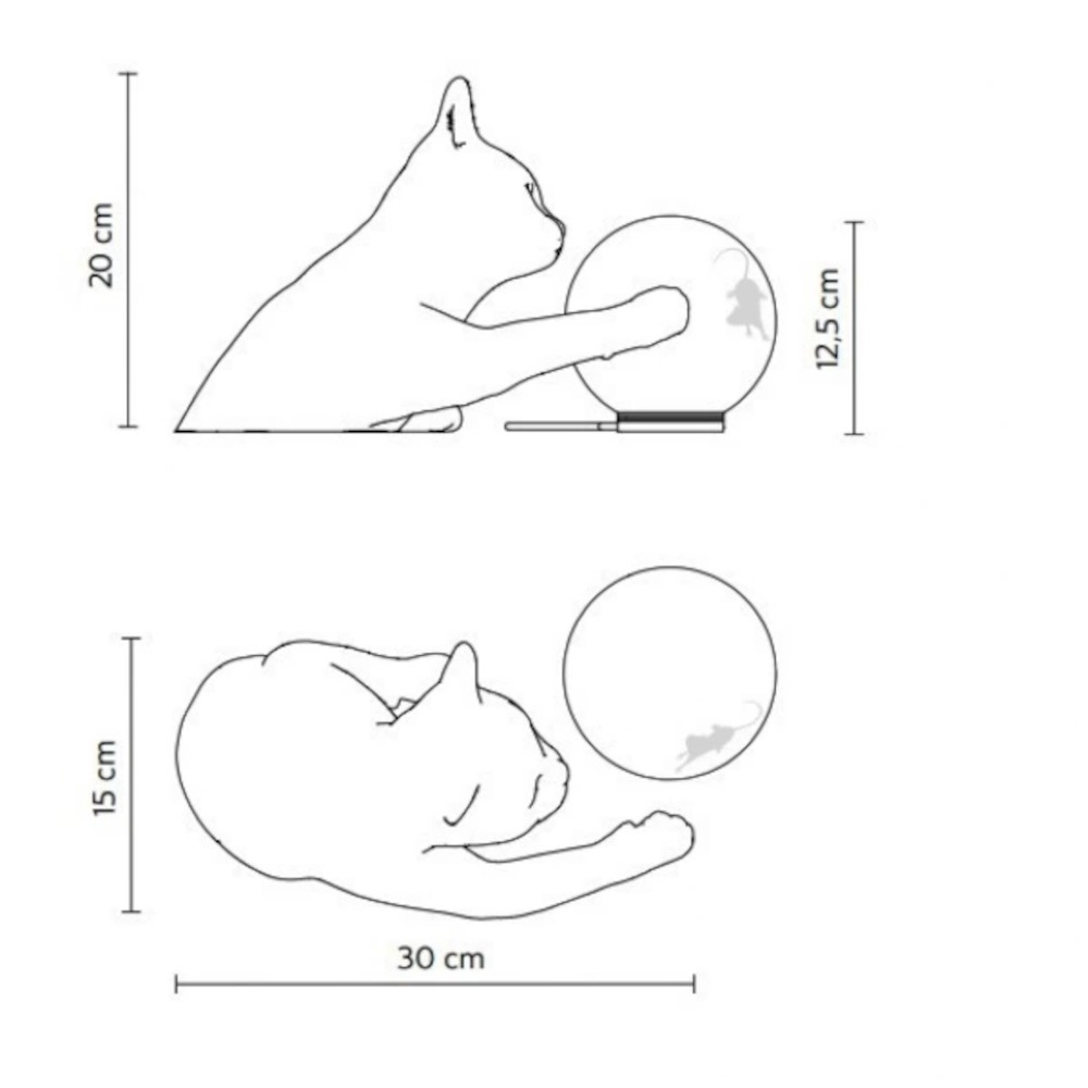 schema